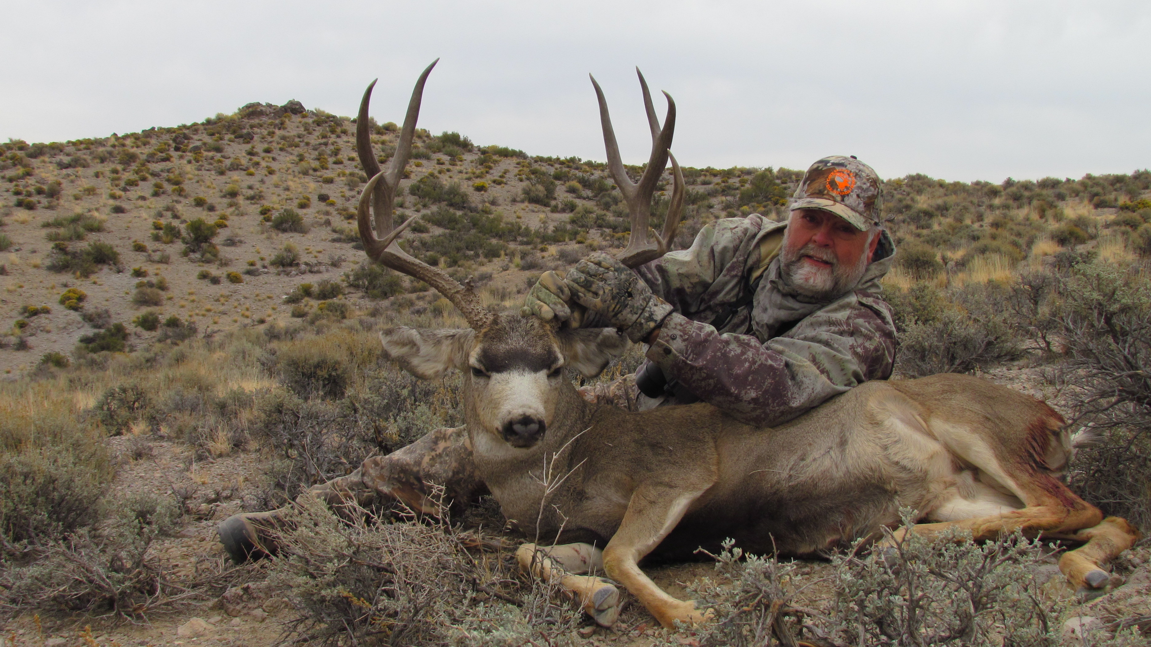 Guided Bighorn Sheep Hunts Silver State Guides and Outfitters