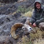 Bighorn Sheep Hunts
